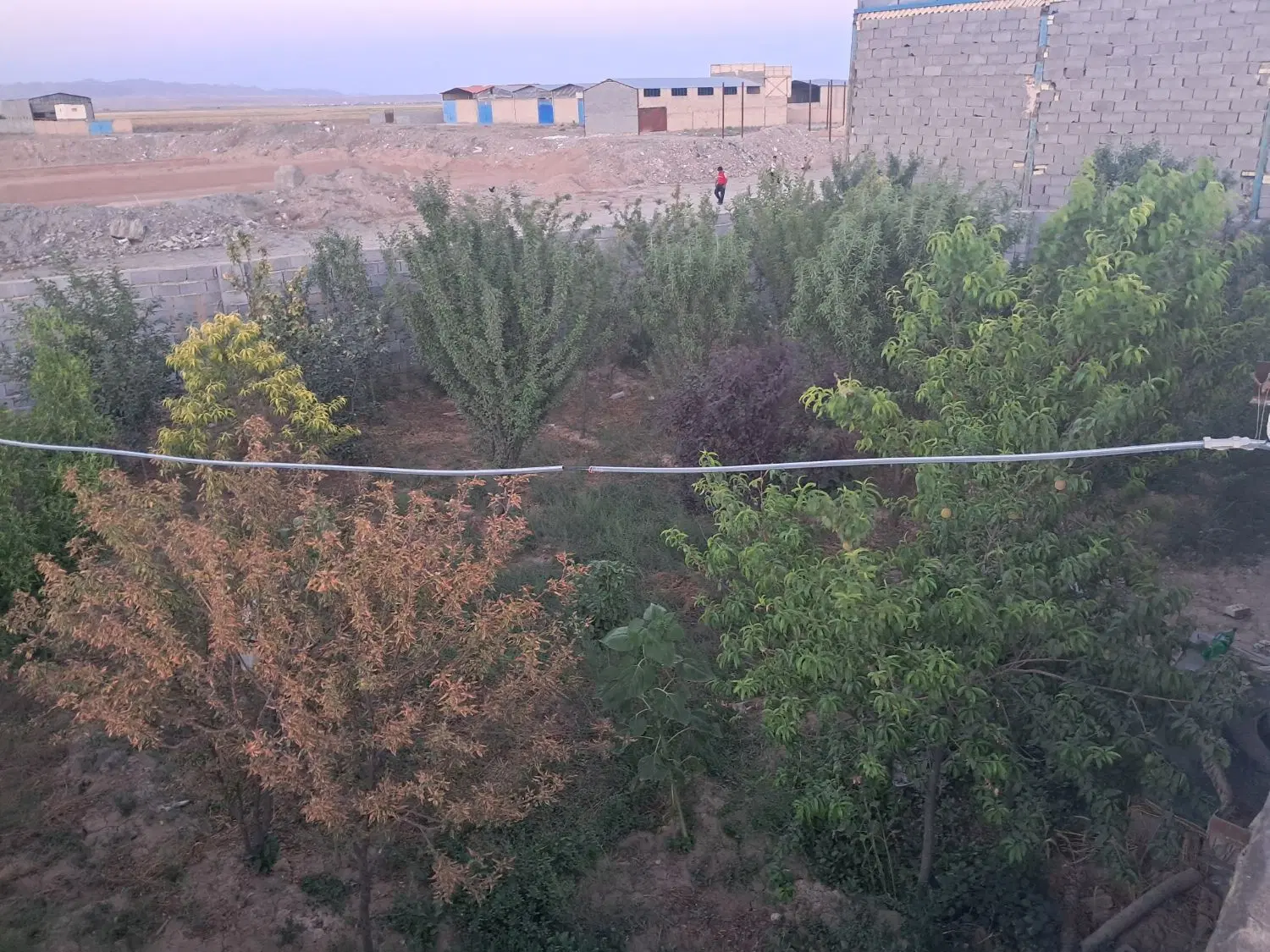 باغ ویلا