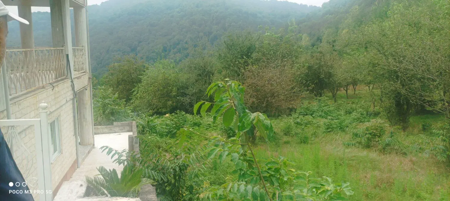 زمین  داخل بافت