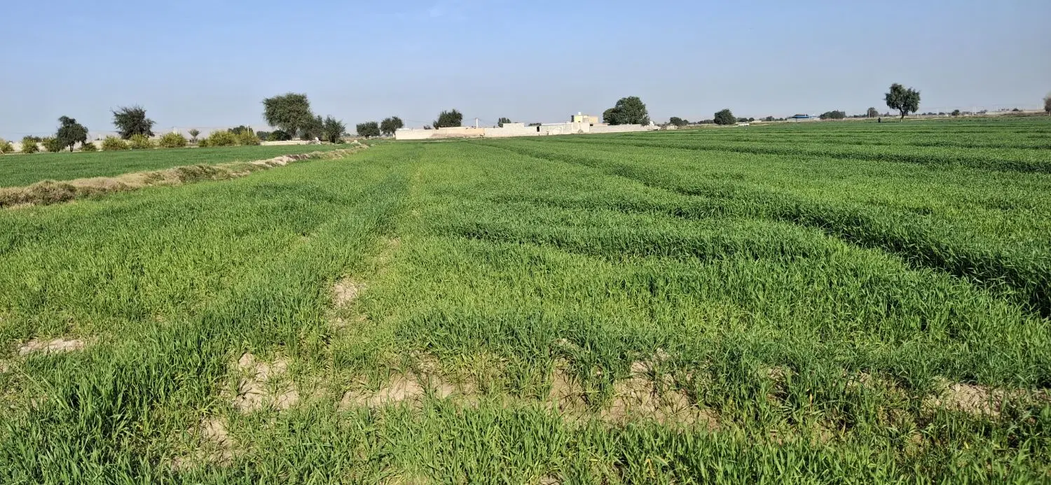 قطعه زمین فروشی ابتدای شهرک نور محمدی(گلالک)