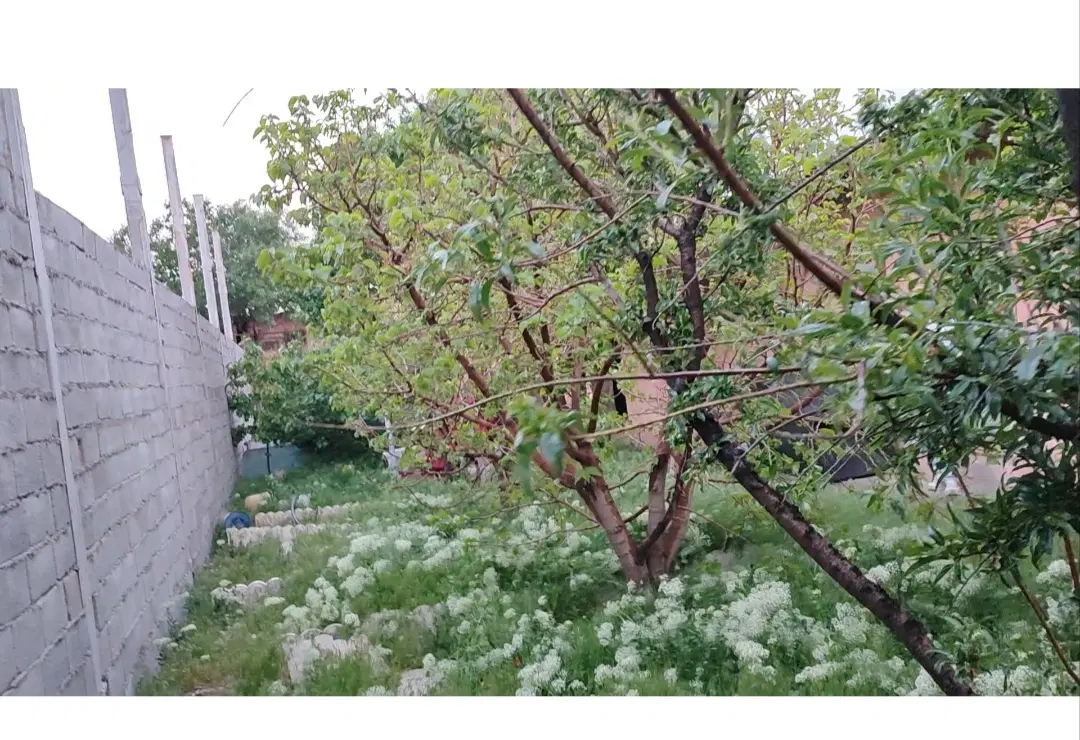 باغ ویلاسفرخونه با چاه آب شخصی درآفتاب درخشان صحرا