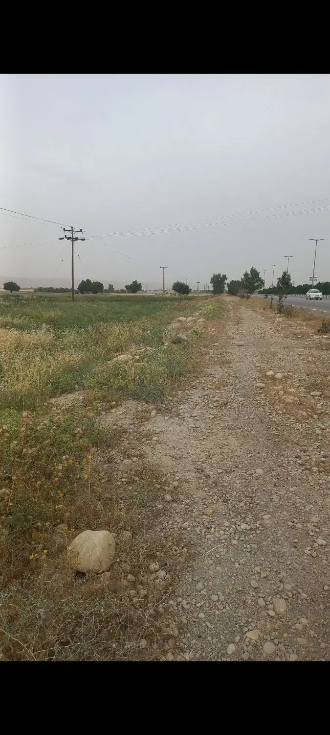 زمین کشاورزی