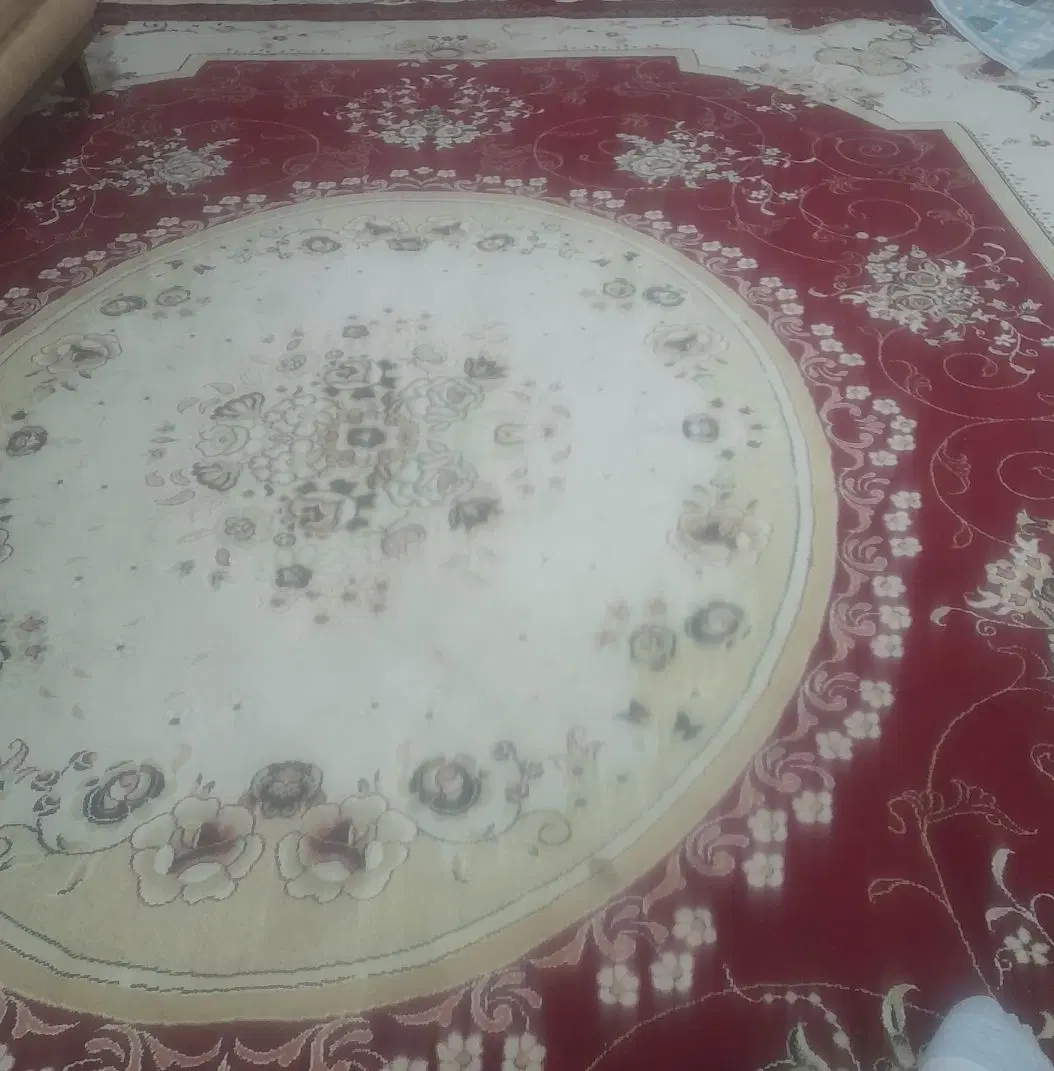 اجاره اتاق مجردی فقط یک نفر