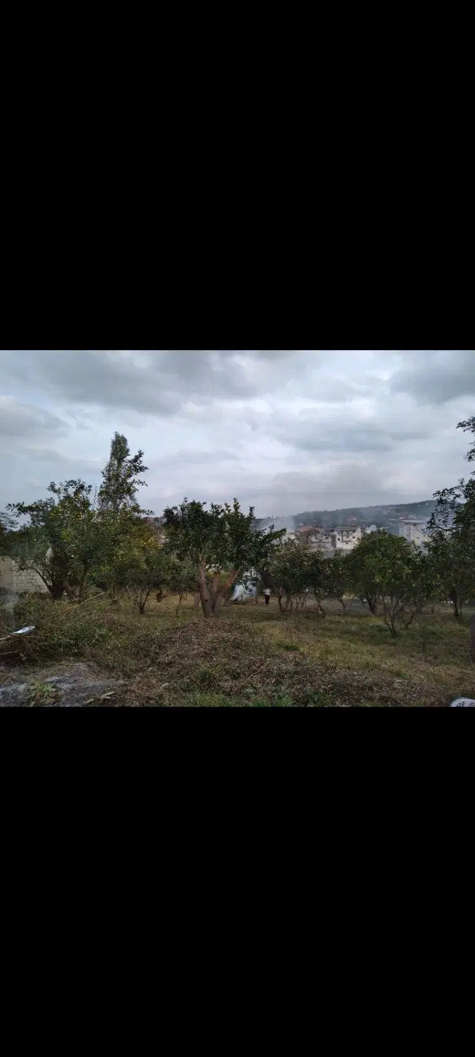 زمین ویلایی ۱۳۶۰ متر ویو ابدی