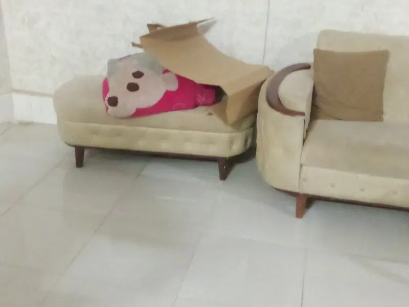 همخونه همخانه هم خانه