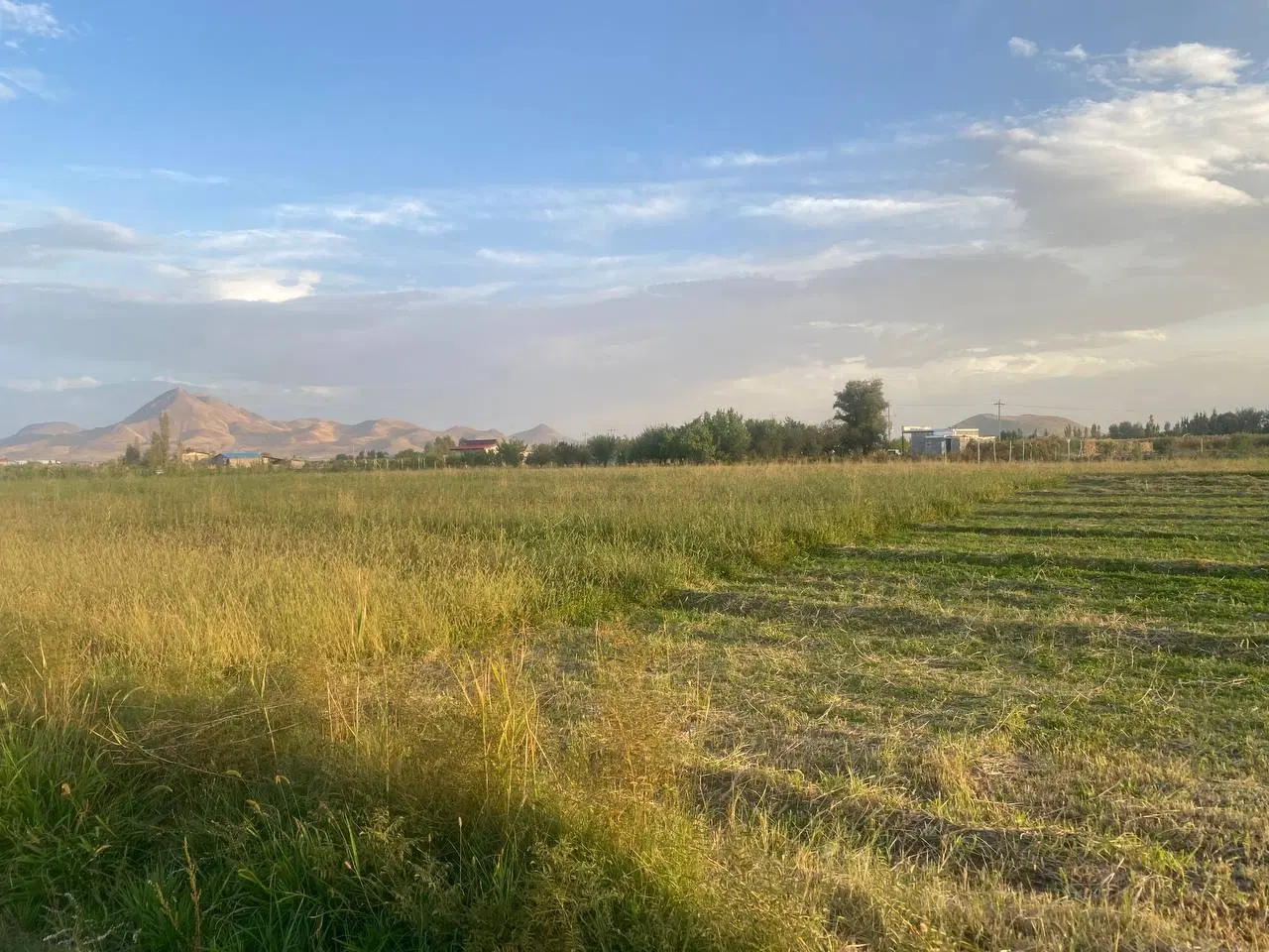 زمین کشاورزی