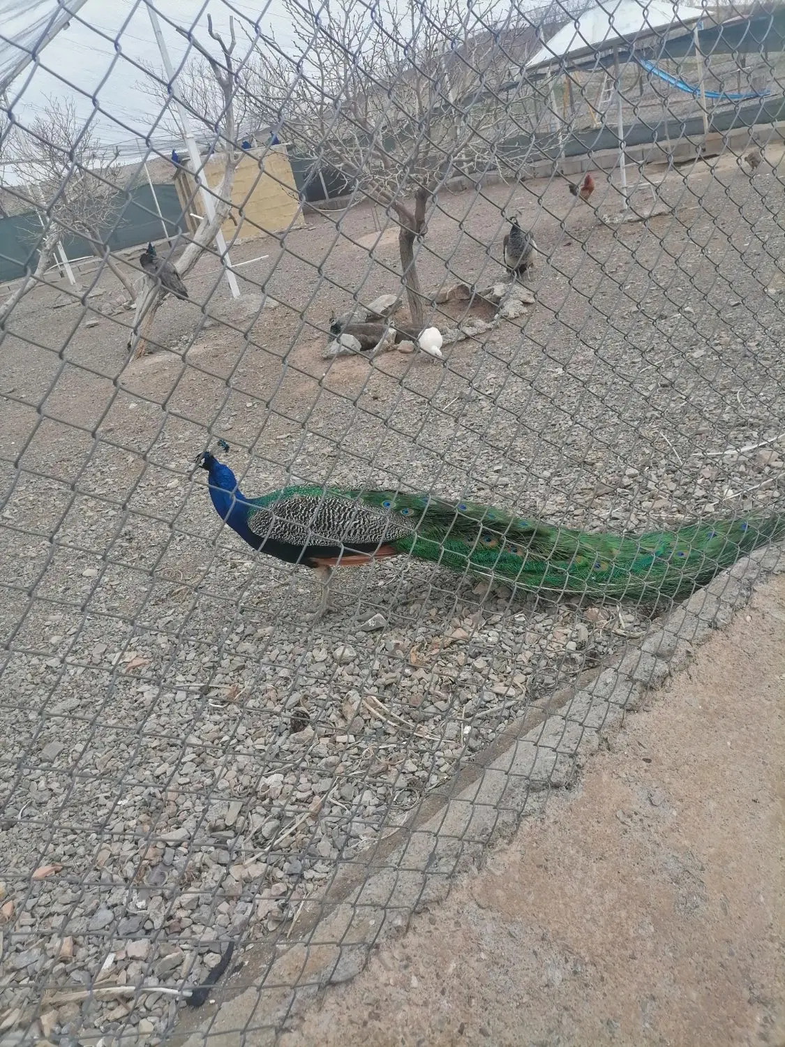 زمین فروشی