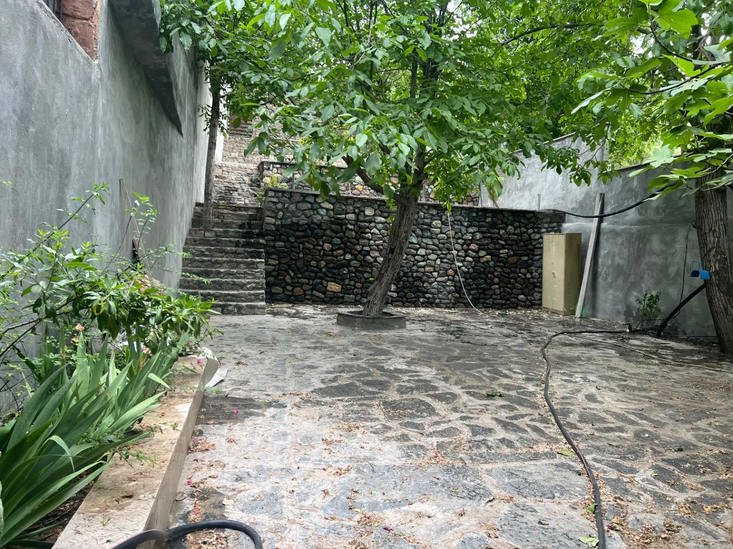 کافه،پانسیون حیوانات ،اجاره باغ