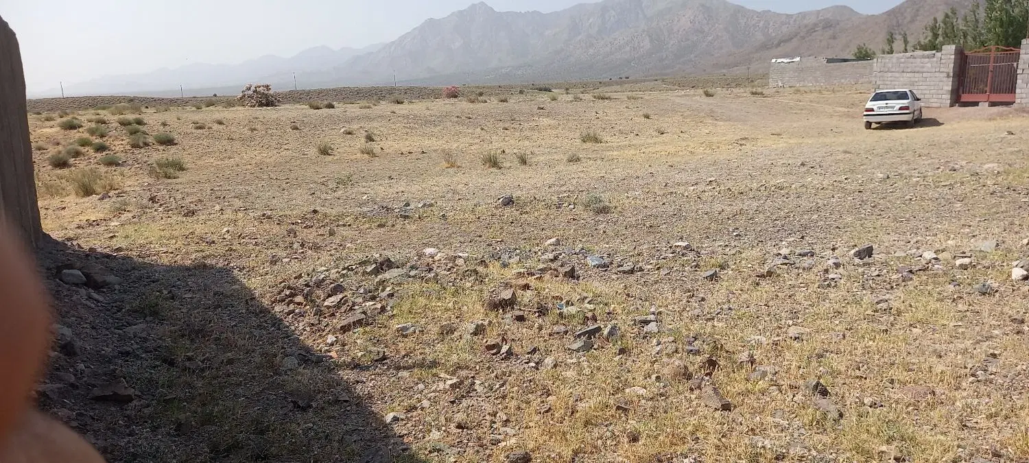 زمین با سند تک برگ. روستای سرپشت. نبش جاده اصلی