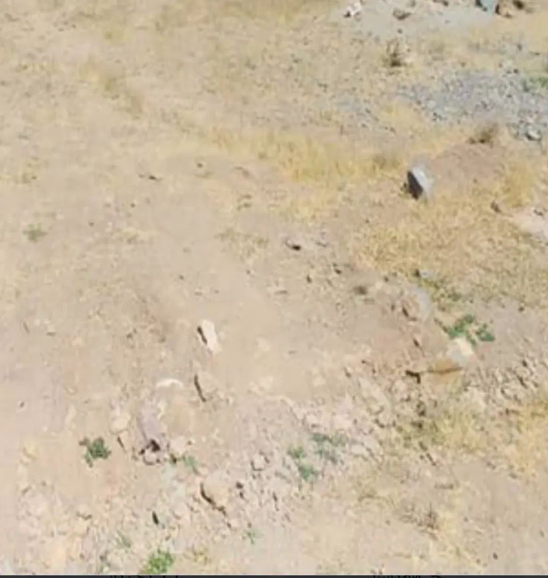 زمین مسکونی زرقان چاهسرخ
