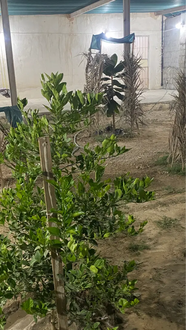 خانه ویلایی در ایسین
