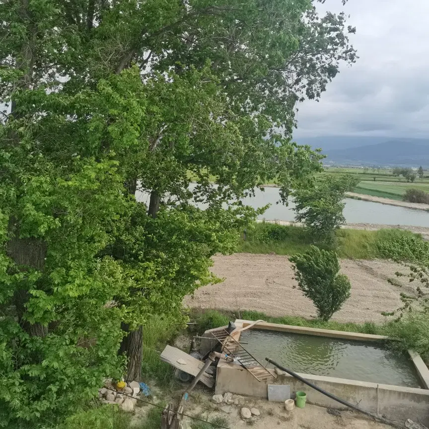 زمین ۱۲_۵هکتاری دوفصل