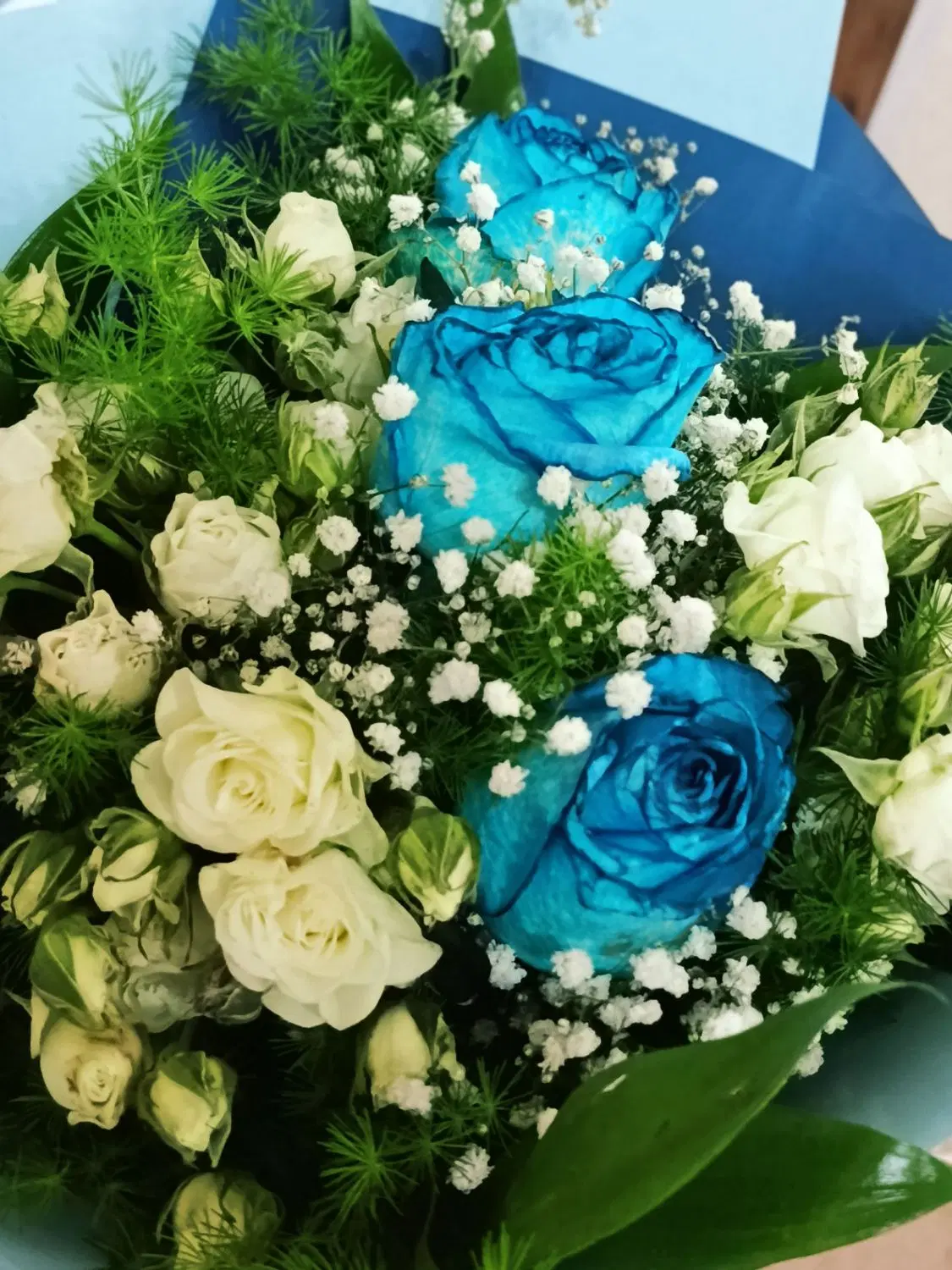 باغ سیاسرد