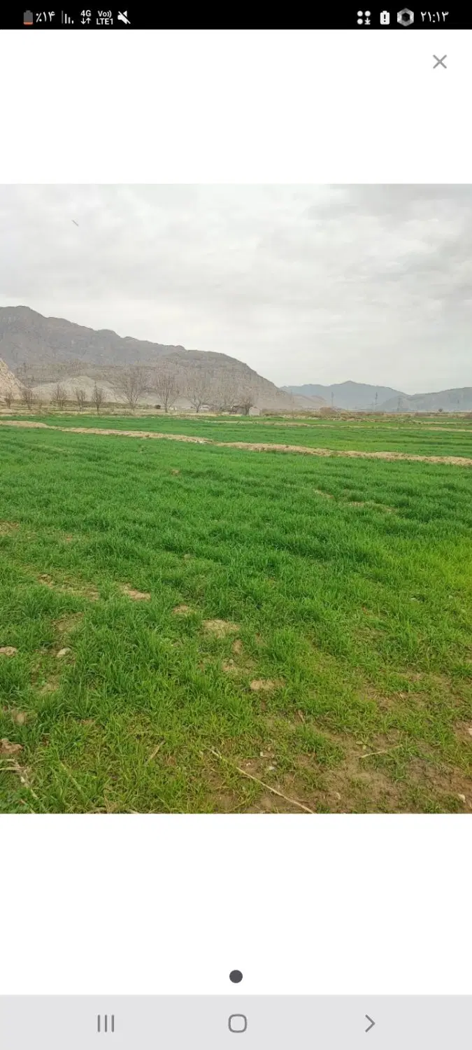 زمین کشاورزی،چنگایی عسگرآباد