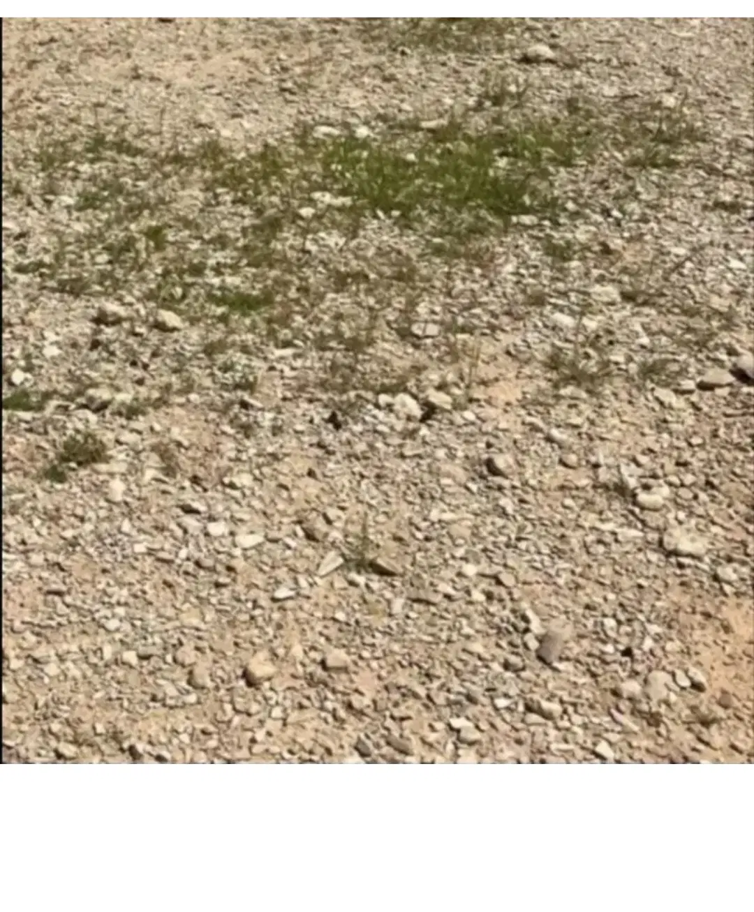 200متر زمین مسکونی