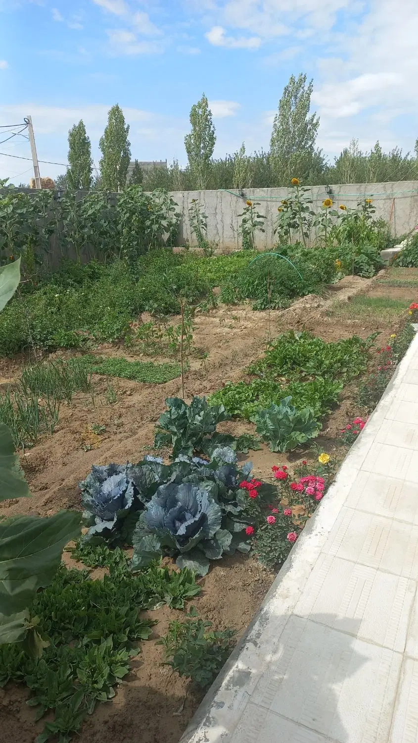 خانه باغ ویلایی اسپیران