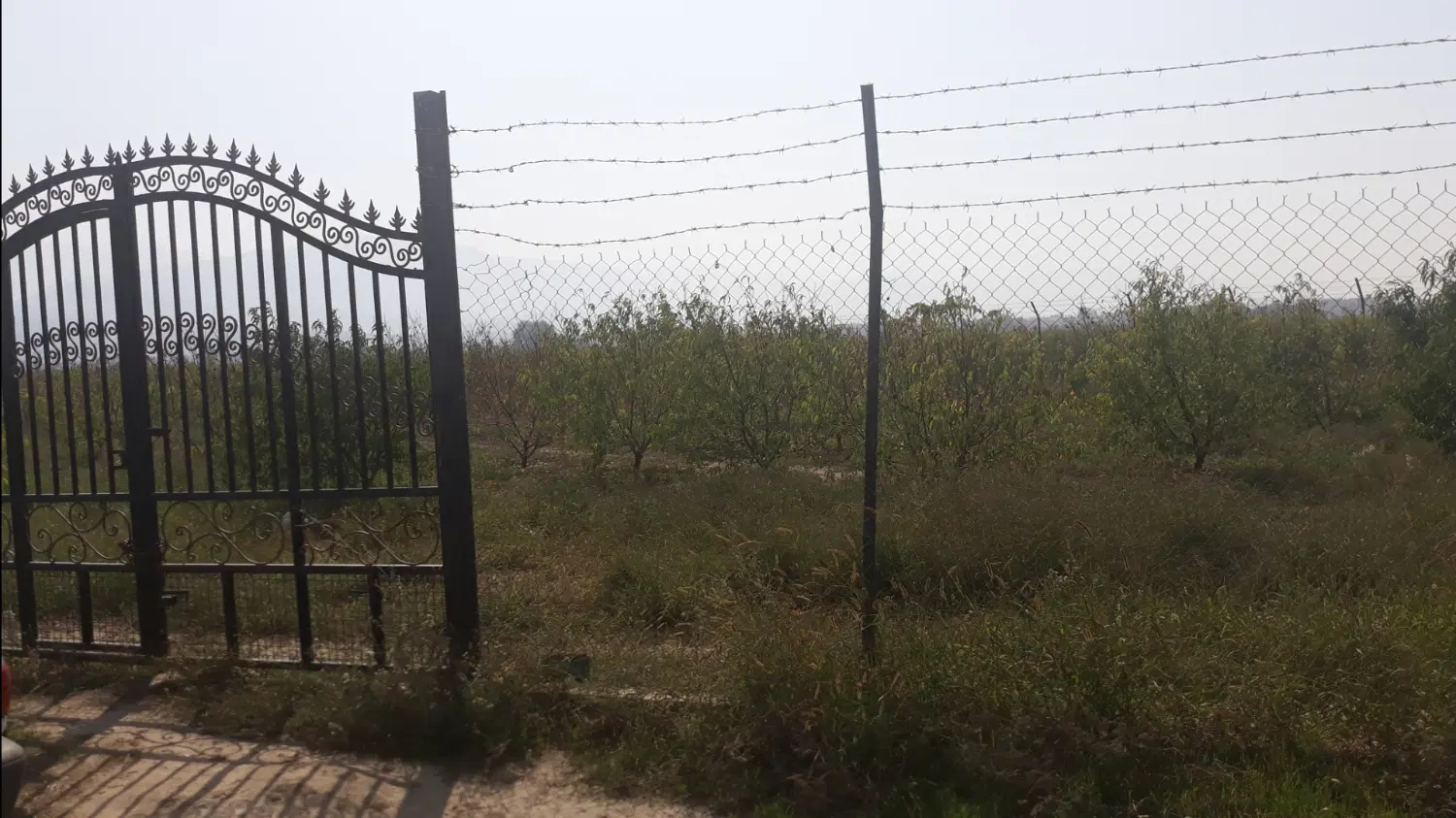 باغ در نزدیک بافت روستای مریم آباد