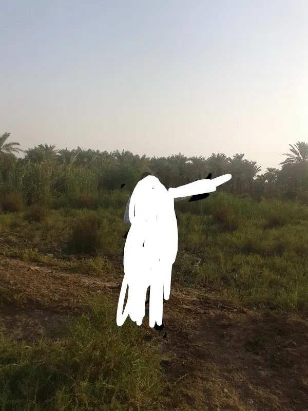 زمین یک هکتار