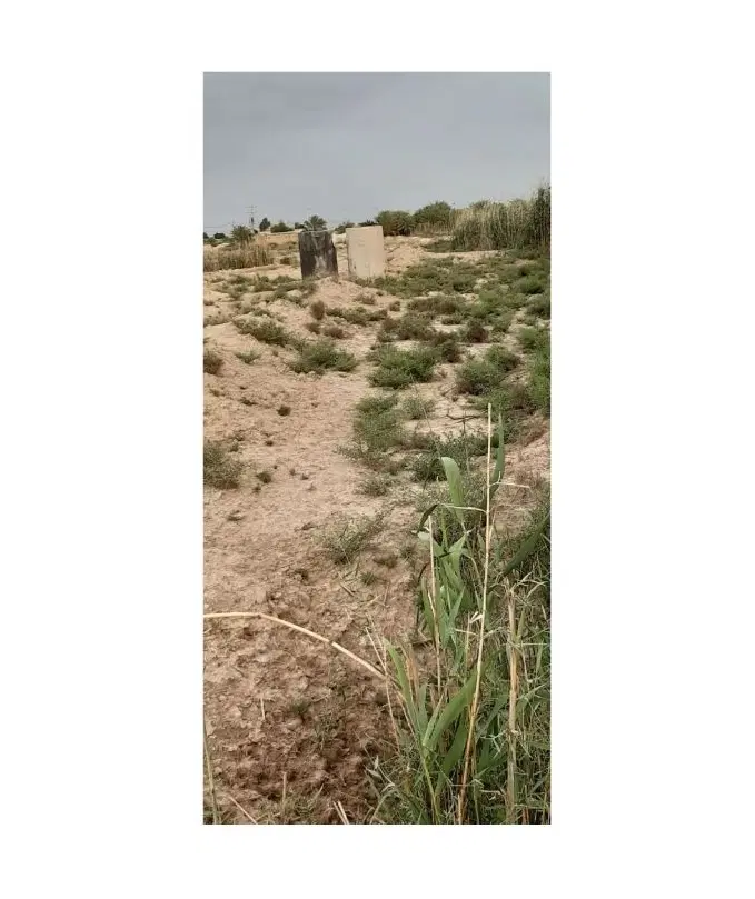 زمین زراعتی