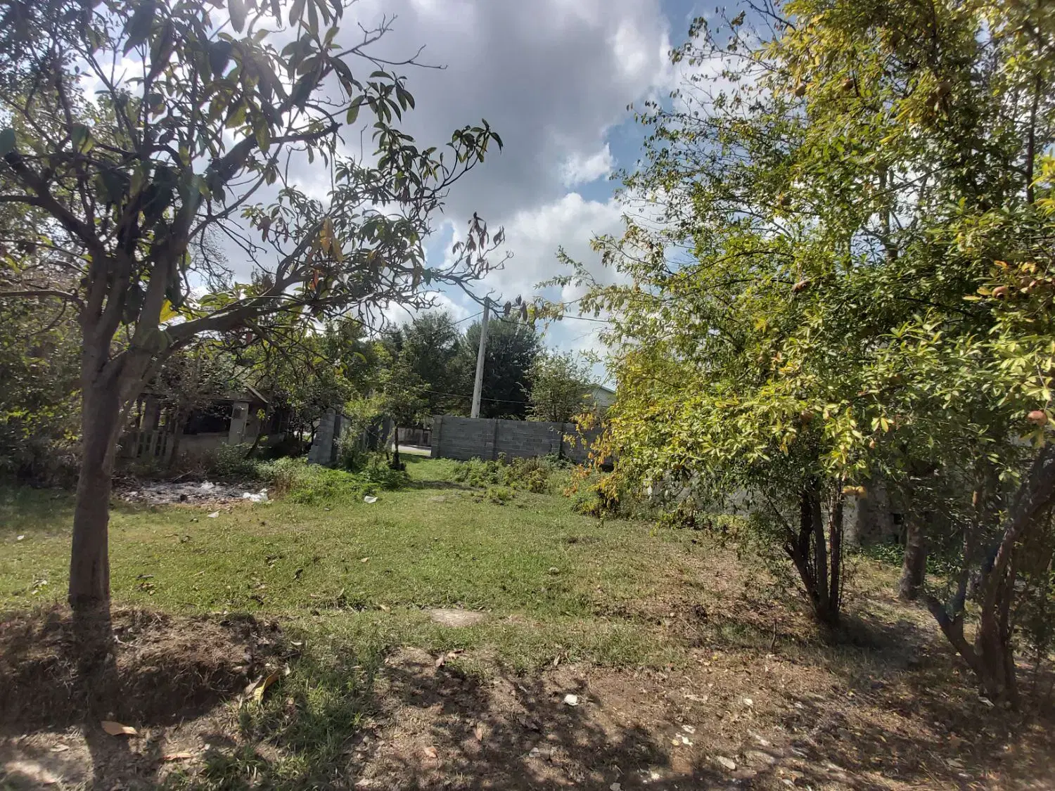یک قطعه زمین  در روستای زیبا و توریستی سقالکسار