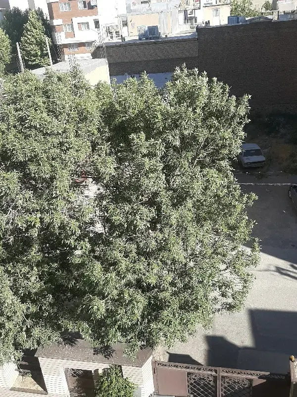 آپارتمان فروشی