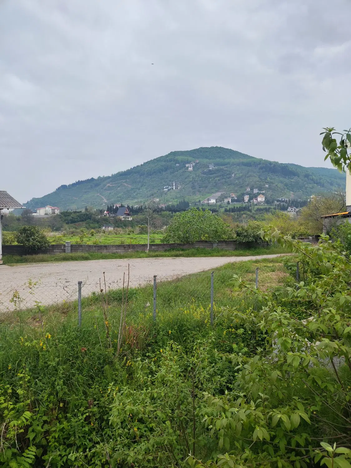 طبیعت نه
