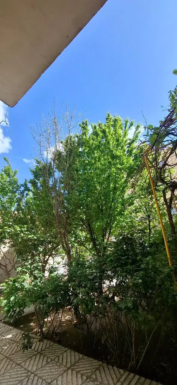 فروش خانه‌مسکونی ۳۶۰متر آبرسان بیلانکوه‌شرقی