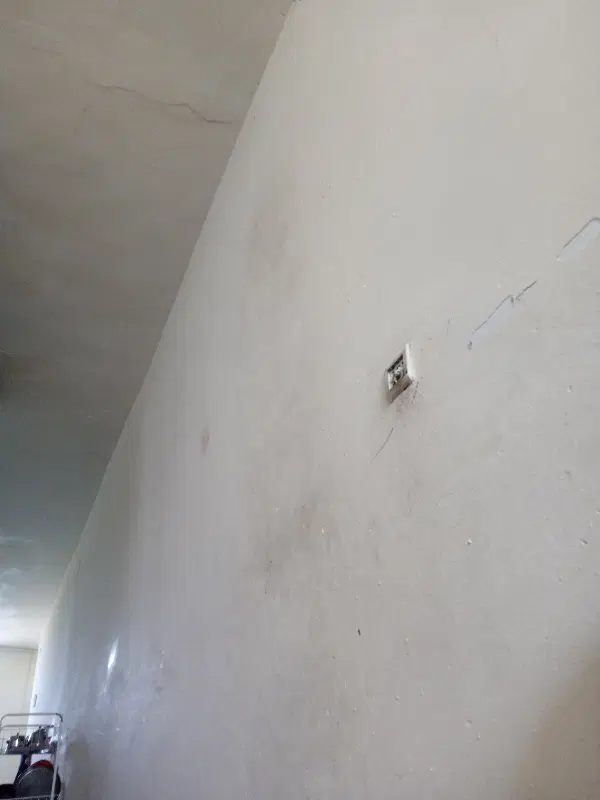 سوئیت