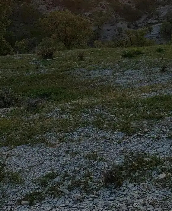 زمین تجاری روی جاده اصلی دشتروم به بابامیدان