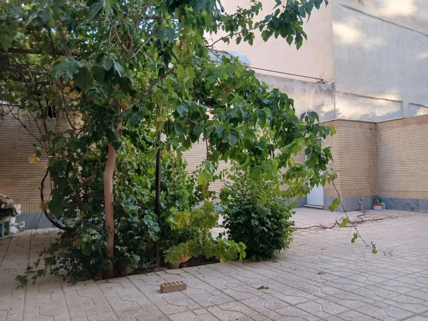 همکف مخابرات با ۱۰۰ متر حیاط اختصاصی