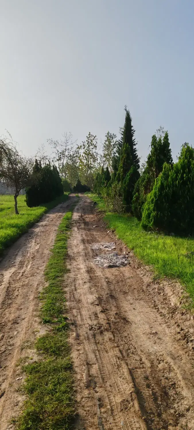 زمین 350 متری