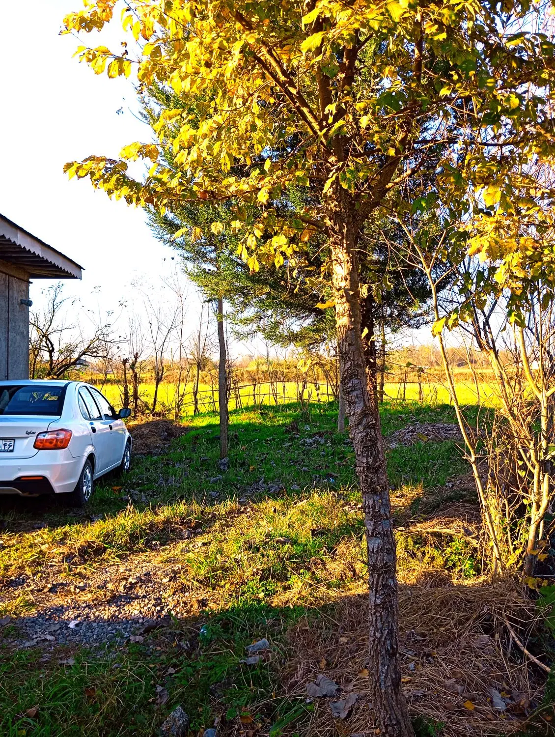 خانه ویلایی