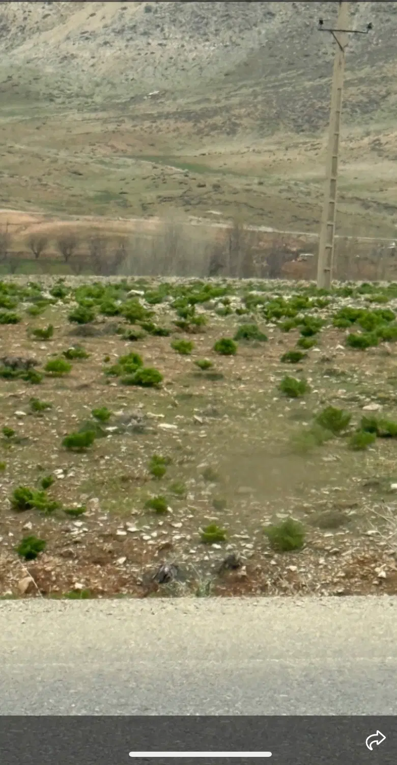 روستای سرچنار
