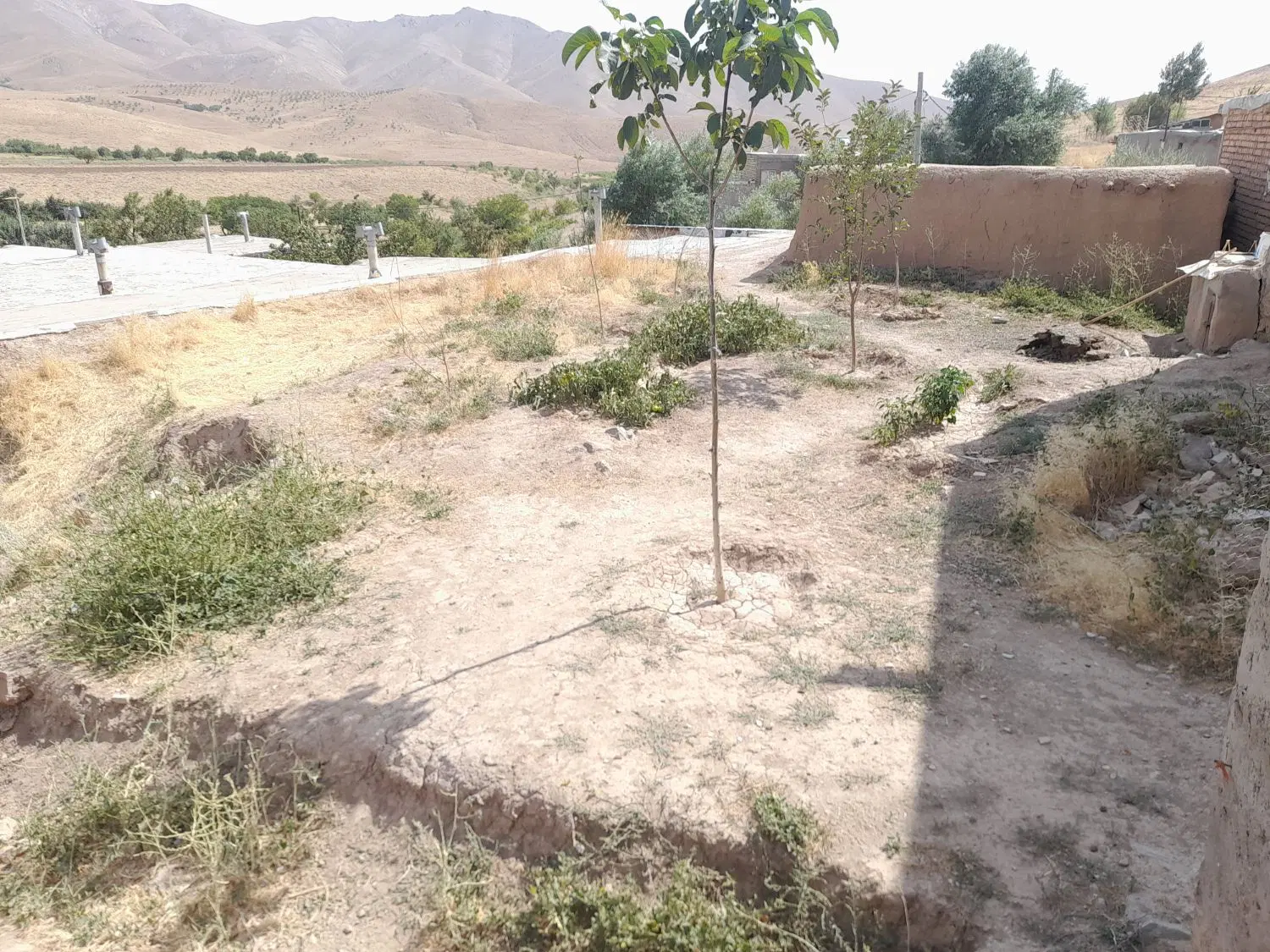 زمین فروشی