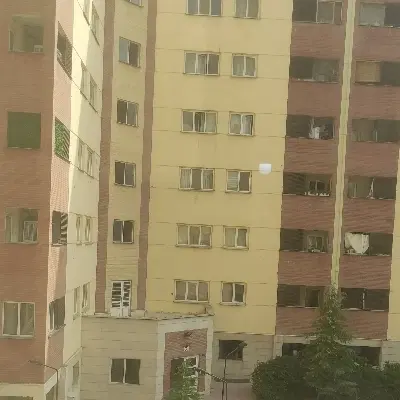 ملک سند تک برگ