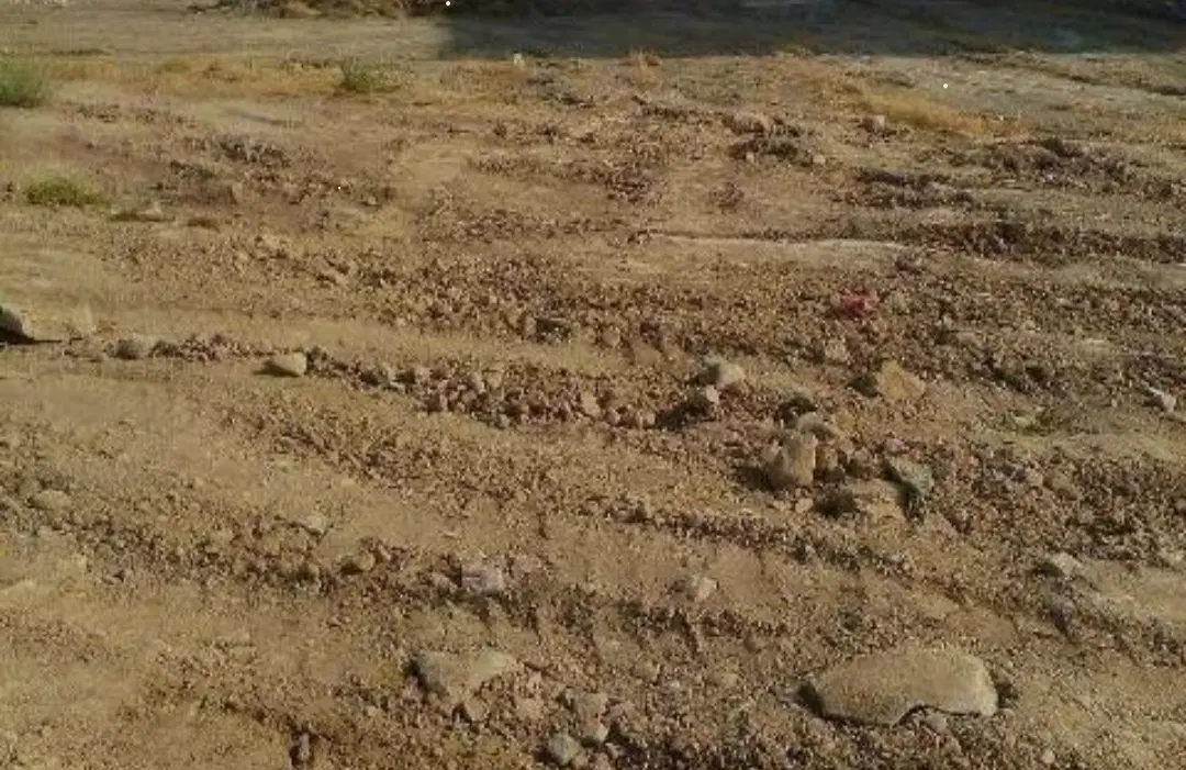 زمین مسکونی