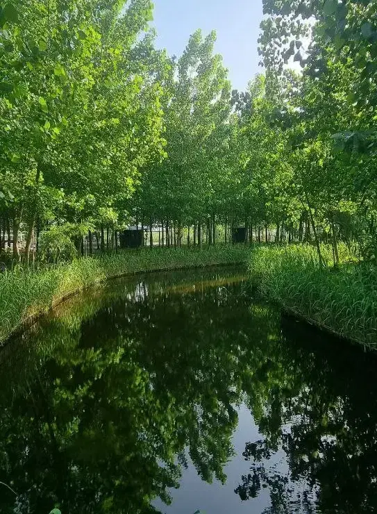 تجربه متفاوت برای مالک شدن