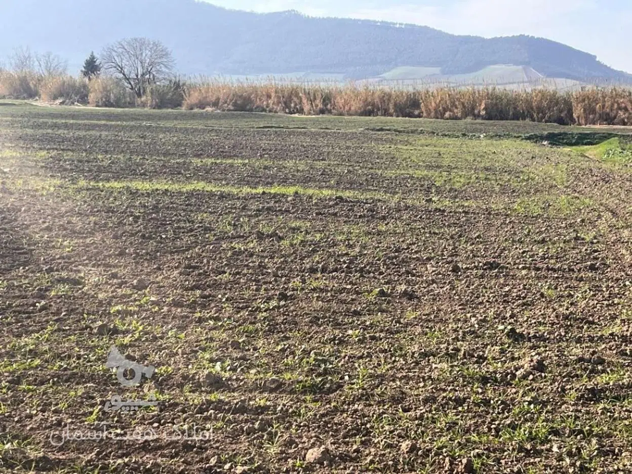 زمین کشاورزی