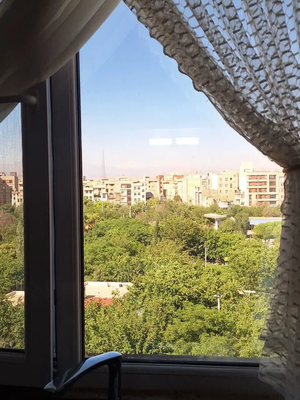 ویو پارک