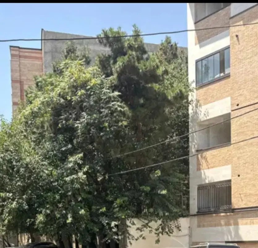 اجاره ۶۱ متری سعیدیه پایین