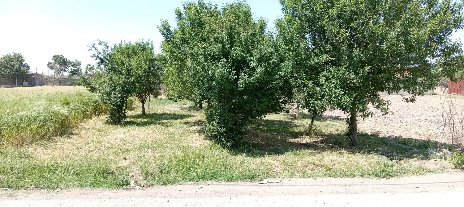دوقطعه زمین مسکونی در روستای حصارجوق بخش مرکزی