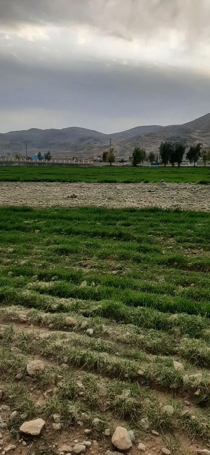 زمین واگذاری اداره برق پل شیخون