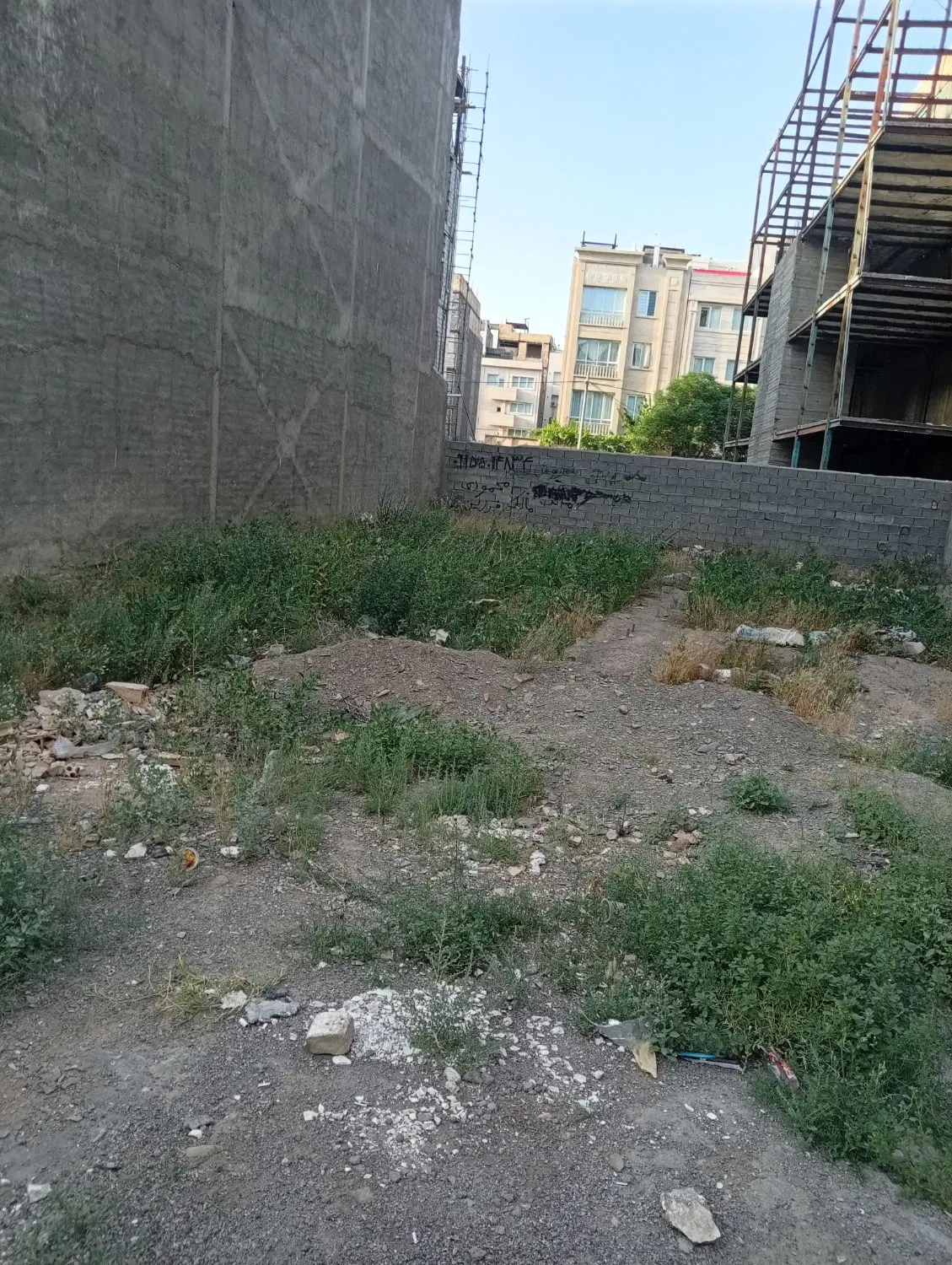 زمین مسکونی سندتک برگ