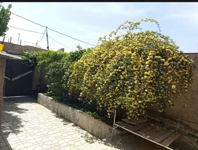 ویلایی  رسالت غربی المهدی