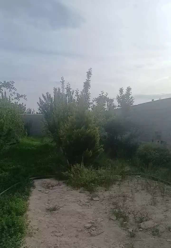 چهاردیواری ۸۰۰متری بعداز منشیان روستای باچه