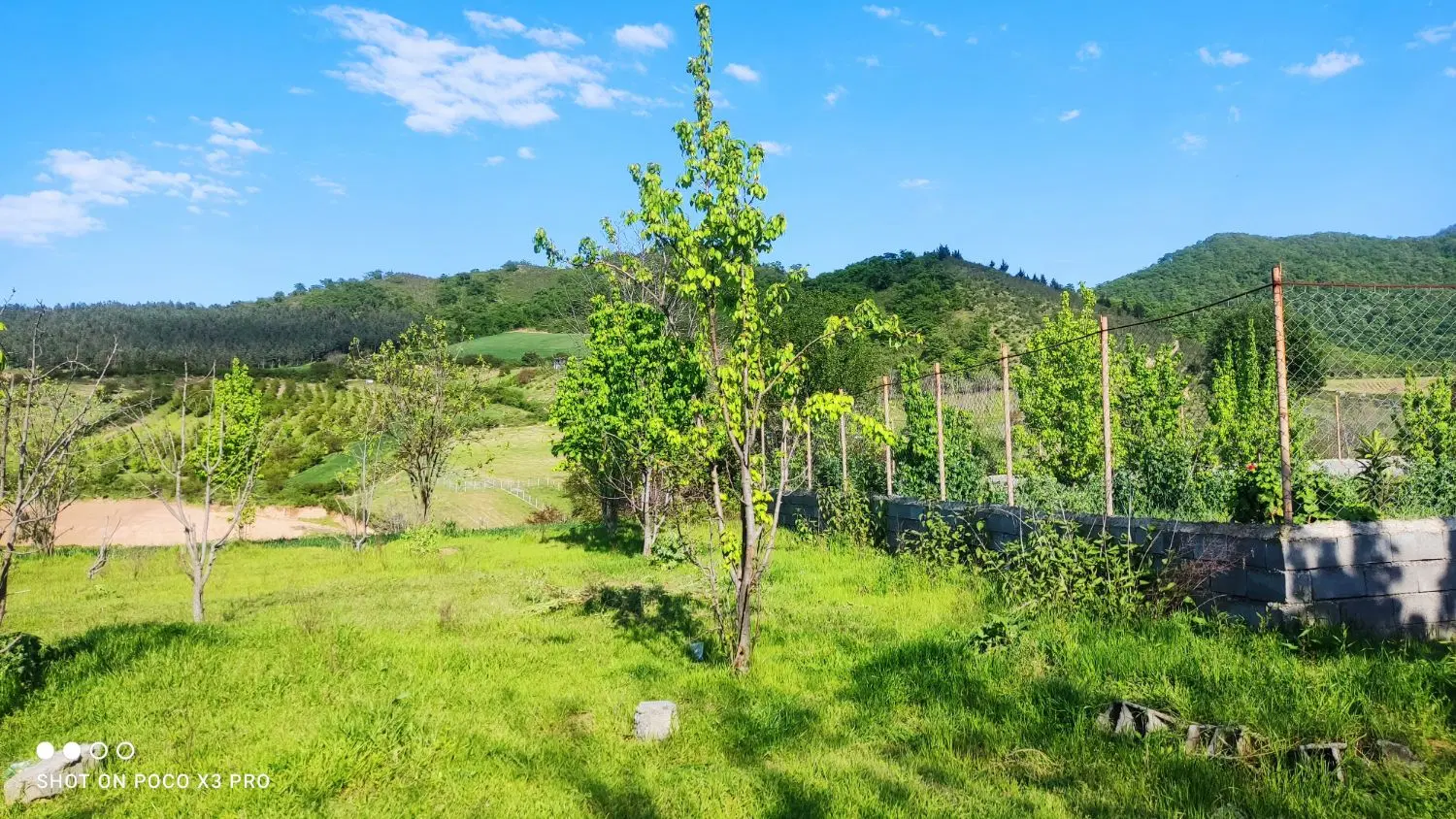 فروش زمین واقع در روستای الازمن