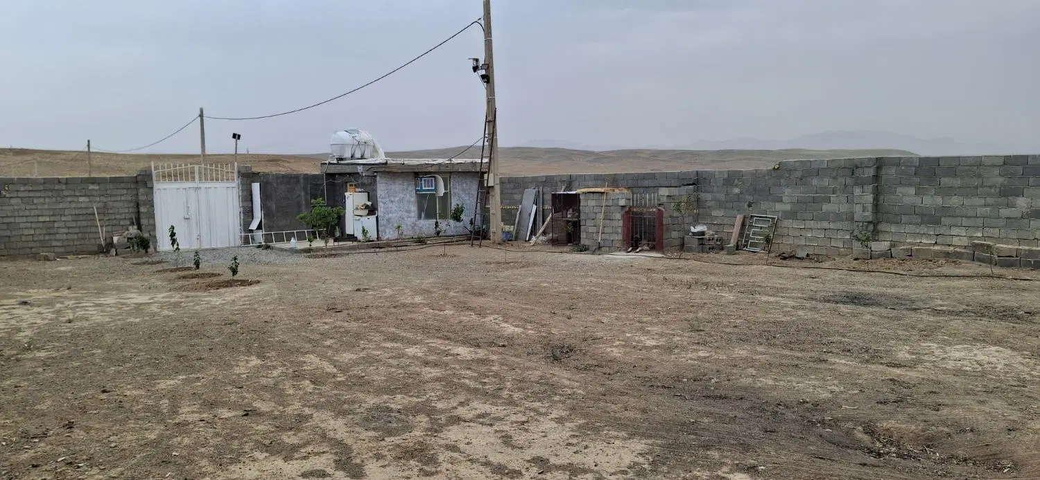 دامداری