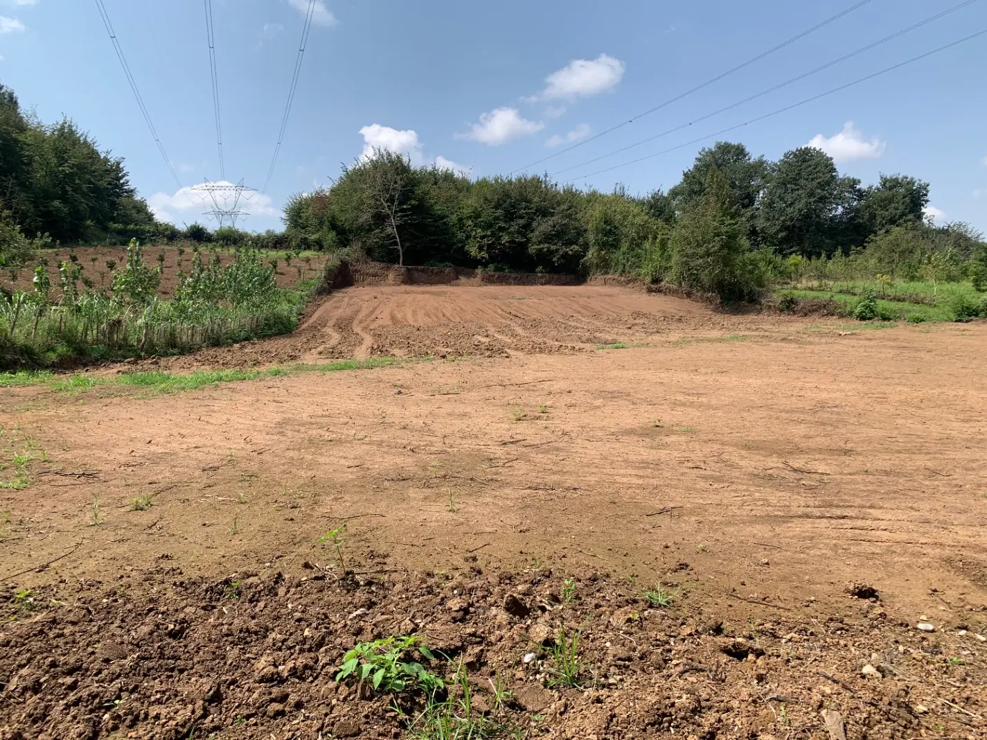 فروش زمین باغی در قائمشهر روستای واسکس ۲۵۰۰ متر
