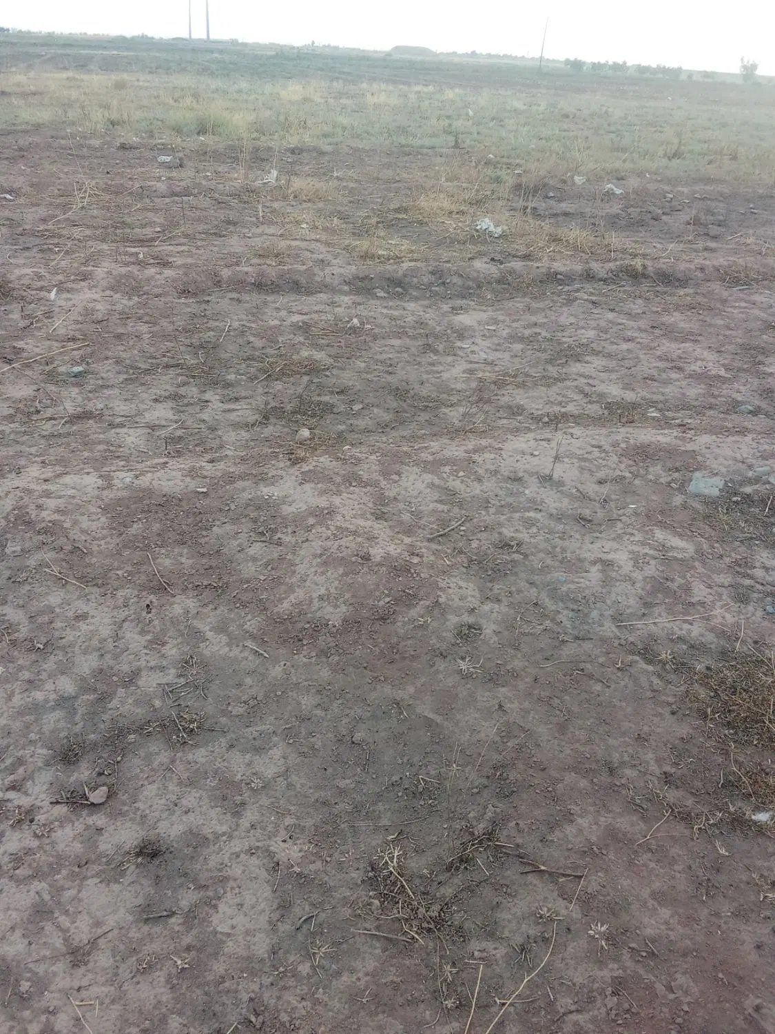 زمین مشاهیرعطار1400