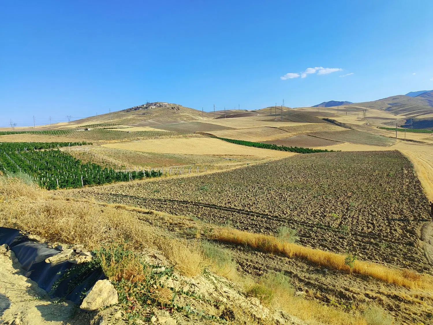 زمین