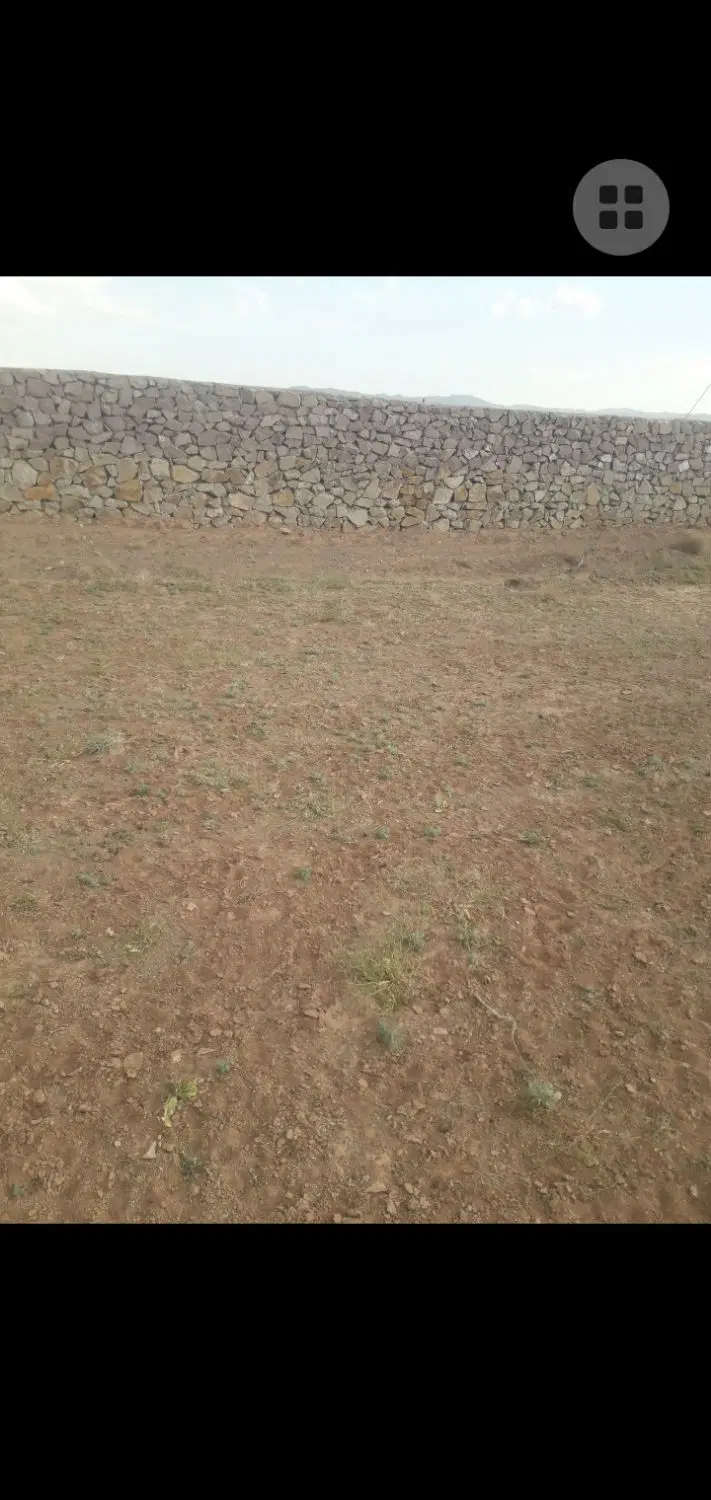 زمین مزروعی کلاته بجدی